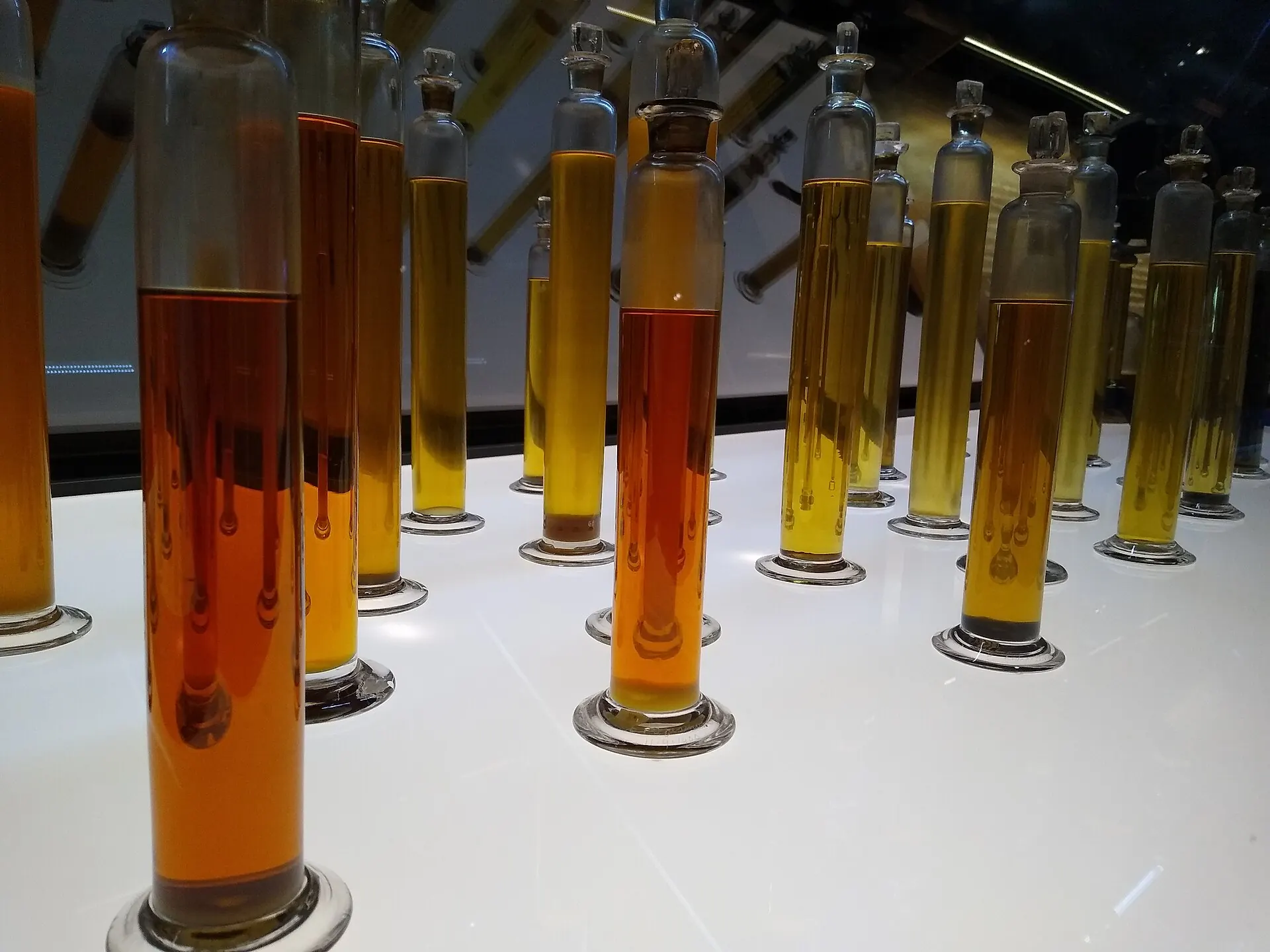 Frascos de aceites esenciales sobre un fondo neutro